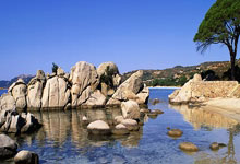 开云体育官网-绝境中的潘帕斯之鹰，乌拉圭用最古老的方式，撞开了世界杯的未来之门